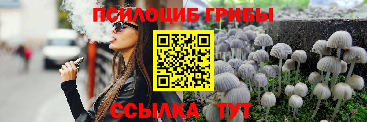 Мариинск  Псилоцибиновые грибы Psilocybe  Вход с VPN 